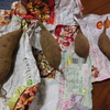 【畑日記🍠番外編】さつまいも栽培～実験！極小いもから苗は取れるか？～