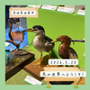 茨城県自然博物館｜「鳥の世界へようこそ！」、シジュウカラの幼鳥など【5月】