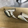 釣った小サバのみりん干しが非常に美味しかった