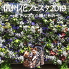 信州花フェスタ開催！【国営アルプスあづみの公園】