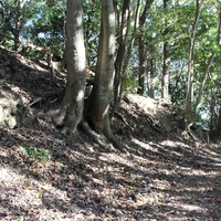 八王子城　主郭北麓  9  　最終防衛線　 無名曲輪　　編