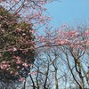 3月23日　月