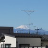 2025/01/26 調布・武蔵境散歩 02 御塔坂・御塔橋/宿神明社/神代植物公園/高射砲陣地跡/大沢高台児童遊園/大沢雑木林公園