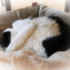 なんなんだ