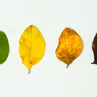 oota_hisaoの図書館へ行こう