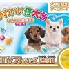 今ゲームボーイアドバンスのかわいい仔犬 わんこと遊ぼう!!にいい感じでとんでもないことが起こっている？