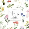 【ClariS】限界オタクによる『Iris』全曲レビュー