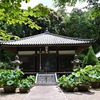三木市 善祥寺 蓮 '25