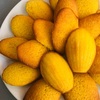 Madeleines de dimanche 