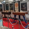 運動嫌いが見に行く「東京オリンピック・パラリンピック応援展示　体操器具編」・千葉県立現代産業科学館