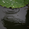 大雨警報