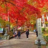 京都写ん歩  晩秋の毘沙門堂門跡（再録）