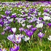 4月10日生まれのあなたへ🥰