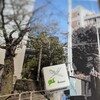 遅咲き桜のバトン前線〜開成併願校に端を発する補欠繰り上げ合格