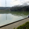 東谷山フルーツパークの池（愛知県名古屋）