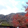 京都・嵐山・宝厳院へ紅葉を観に行く・観光127…20211128