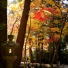 神社のもみじ！(前編)