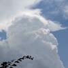 木曜日 今日もゲリラ豪雨