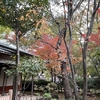 慈緑庵で行われた「月花会」の茶会