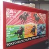 5/26(火)よそう屋 のりべえの日本ダービーを考えよう！