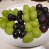 ブドウ三昧　実りの秋！？