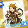 【ミリシタ】女豹SR所恵美を引く