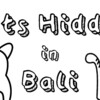 【PC】Cats Hidden in Bali　実績『Golden Cat』『Not A Cat』の取得方法！！