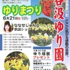 谷汲ゆり園2015、見頃や開花情報。