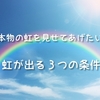 子供に本物の虹を見せてあげたい！虹が出る３つの条件とは。