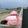 ８月２３日、連日　海🌊　やん～‼️