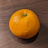 伊予柑の思い出