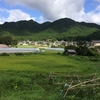 ポルカ（投げ銭）で湖西歩き旅