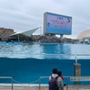 🇯🇵2023.3.25 水族館