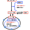 乳酸値上昇をみたら