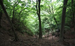 記事を見る