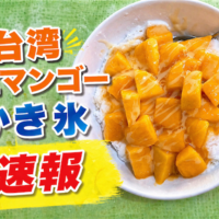 台北】台湾マンゴーかき氷8選とおすすめのお店 - ねここの旅の記録
