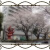 さらさらと流れる川のやうにもしくははらはらと散る桜のやうに生きていきたい