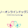 トリマーさんのためのドッグトレーニングサロン