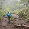 【登山】2回目の入笠山登山 Vol.2 〜花の山・入笠山〜