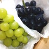 美味しいブドウ🍇が届きました