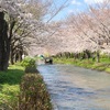 春の京都