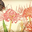 yuupytanの日々是好日〜絵と詩とお茶と、至福の時間