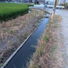 用水路の復活と、雨前のバケツドバドバ水撒き！