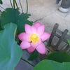 息子が得度しました🙏