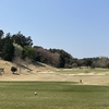 桜吹雪が風に舞う中、いきなり夏が来た in 東千葉