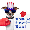ソラチカルートが枯渇してしまった（泣）　〜今後の陸マイラー活動は、入会キャンペーンに活路を見出そう！〜