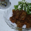 家事をやろう（料理編）〔5〕カレー