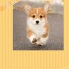 今月の家計簿予定。ベビーグッズ大量購入！？