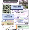 よへさのしだれ桜イベント