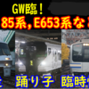 GWに走る少しレアな臨時列車・代走をご紹介‼【踊り子,臨時快速,有田陶器市など】